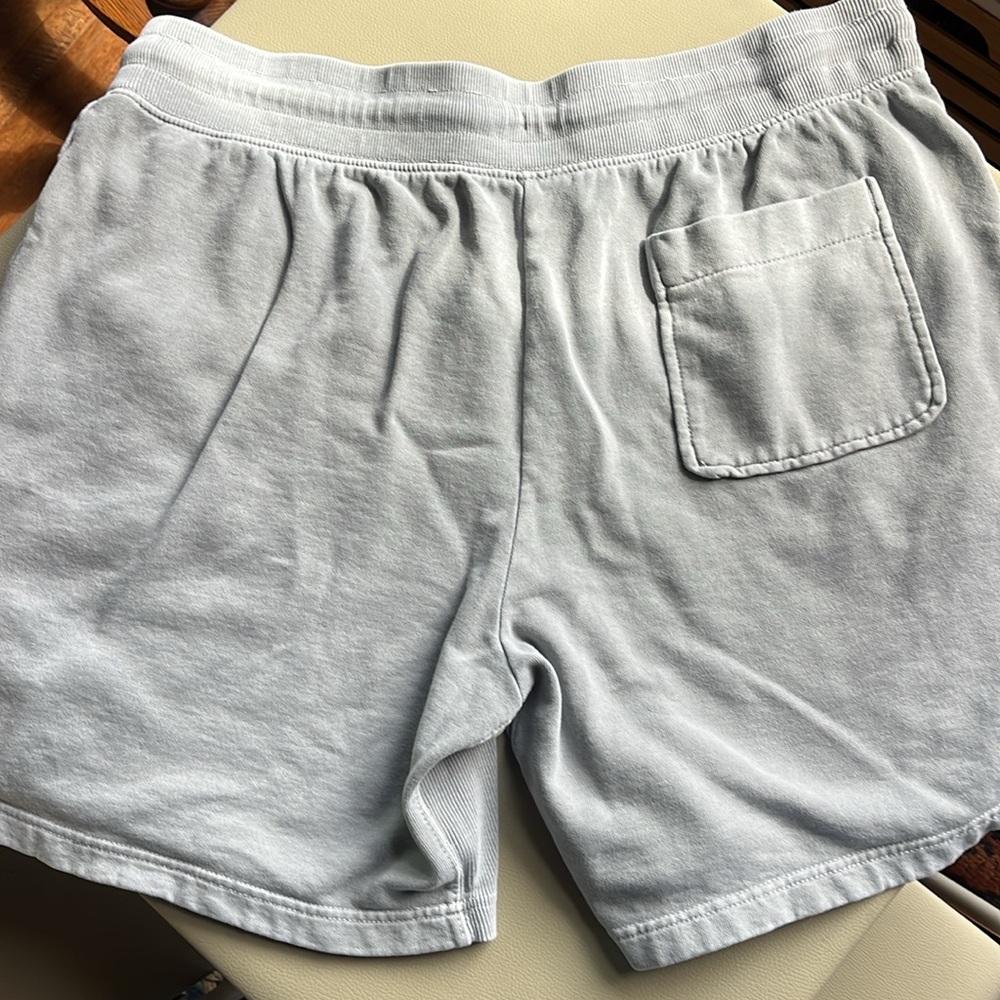 The North Face Light Gray Fleece Drawstring Shorts - Picture 5 of 9